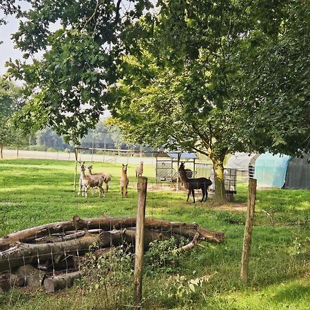 Ferienhaus Banana Lodge Bruchhausen-Vilsen Zewnętrze zdjęcie