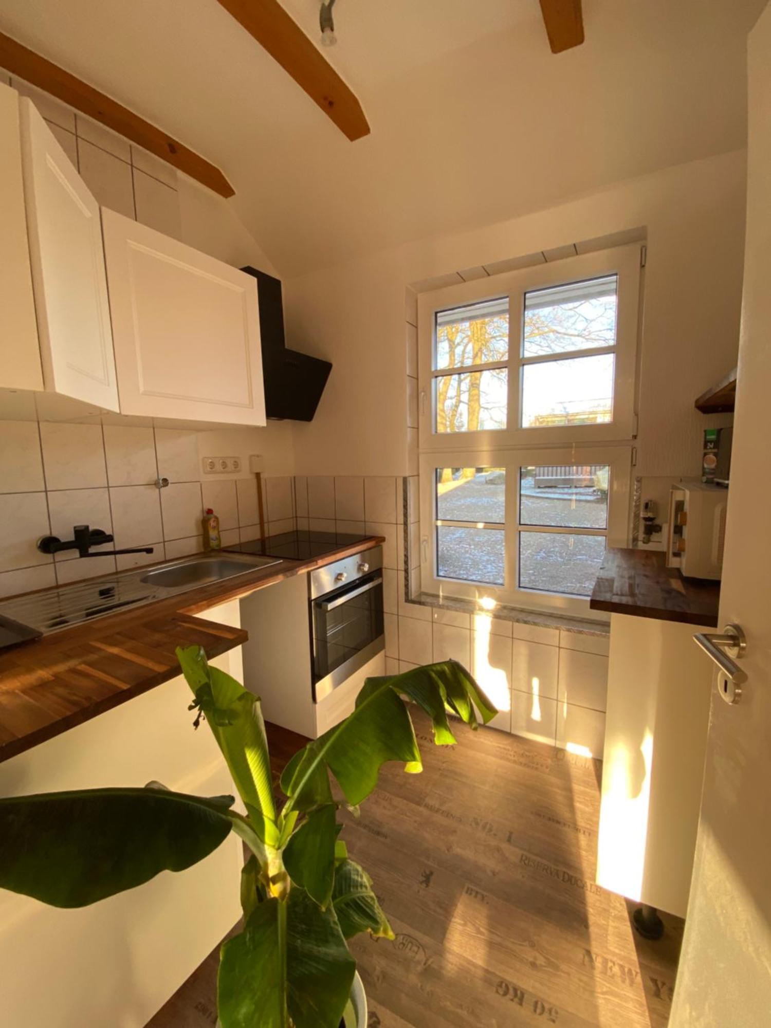 Ferienhaus Banana Lodge Bruchhausen-Vilsen Zewnętrze zdjęcie