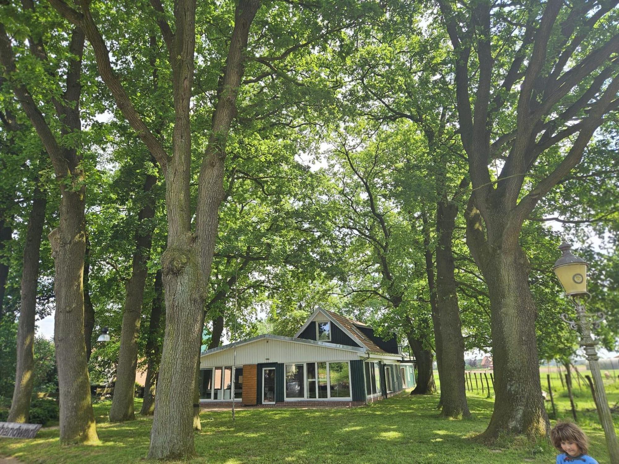 Ferienhaus Banana Lodge Bruchhausen-Vilsen Zewnętrze zdjęcie