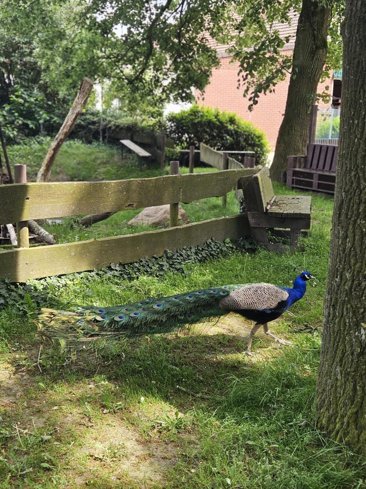 Ferienhaus Banana Lodge Bruchhausen-Vilsen Zewnętrze zdjęcie