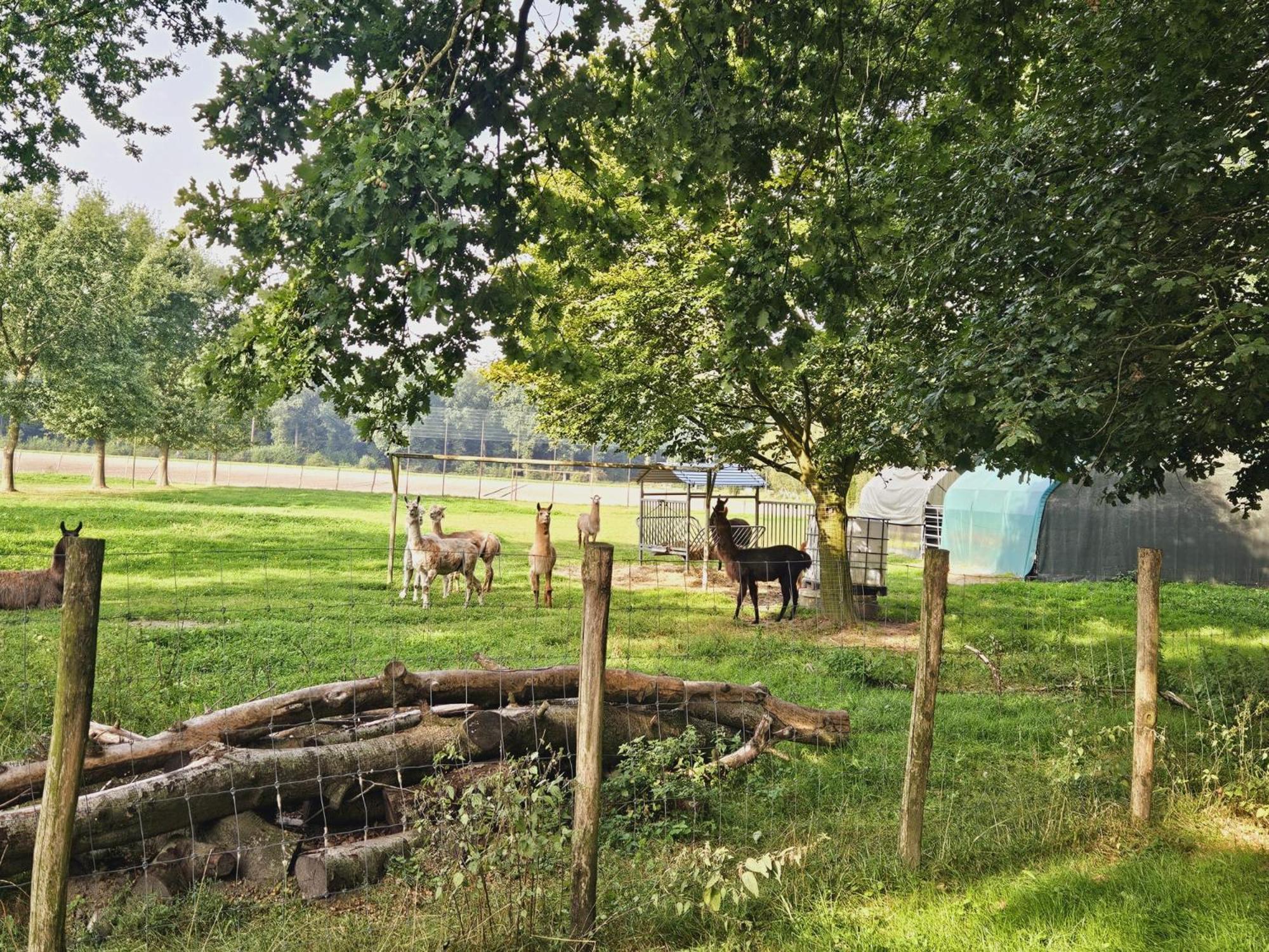 Ferienhaus Banana Lodge Bruchhausen-Vilsen Zewnętrze zdjęcie
