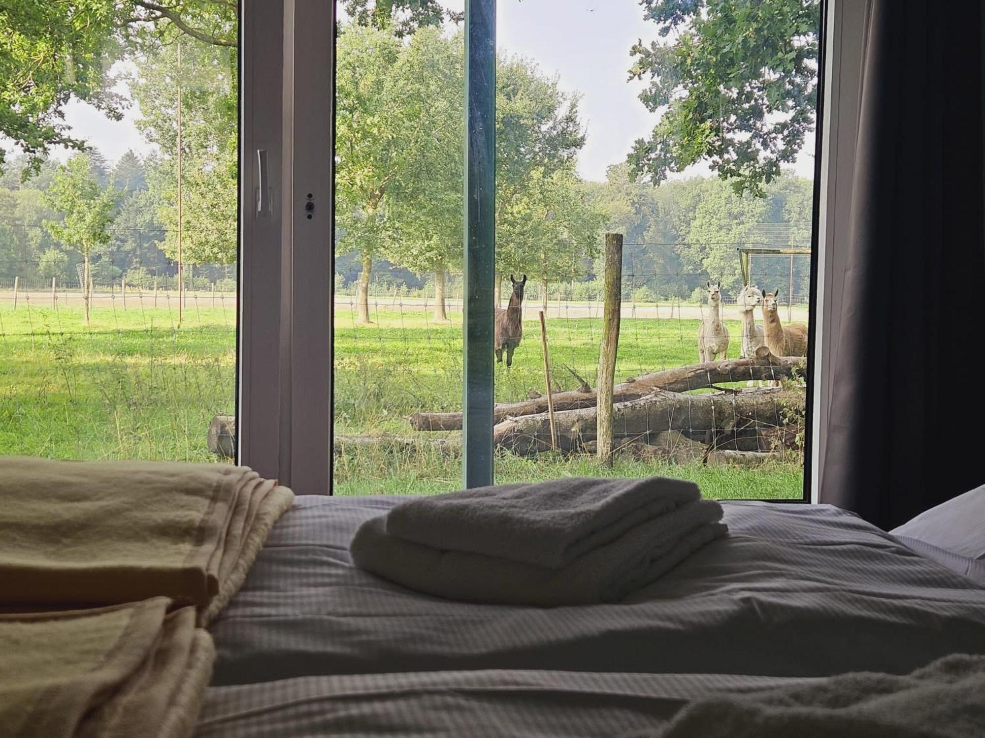 Ferienhaus Banana Lodge Bruchhausen-Vilsen Zewnętrze zdjęcie